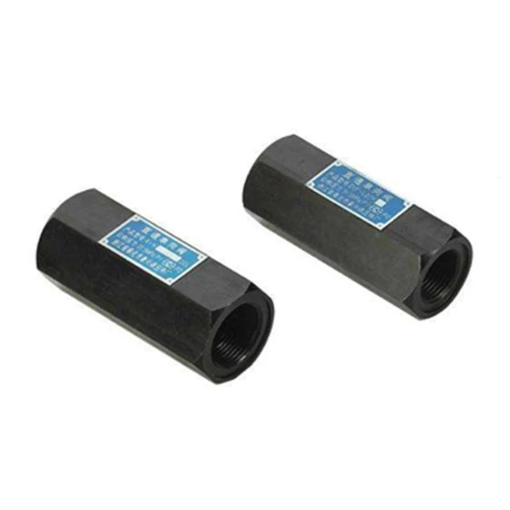 In Line Check Valve
